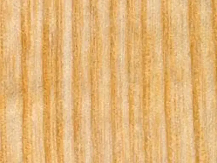 Textura lemnului Frasin