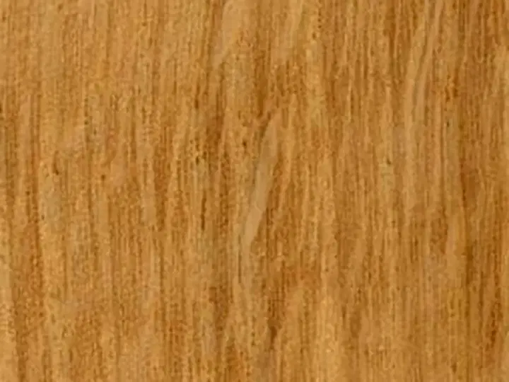 Textura lemnului Stejar